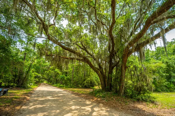 Edisto Island, SC 29438,7810 Turtle Hill Ln