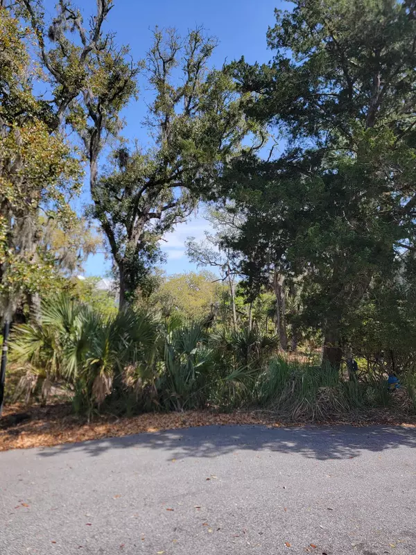 10 Heron Cv, Edisto Island, SC 29438