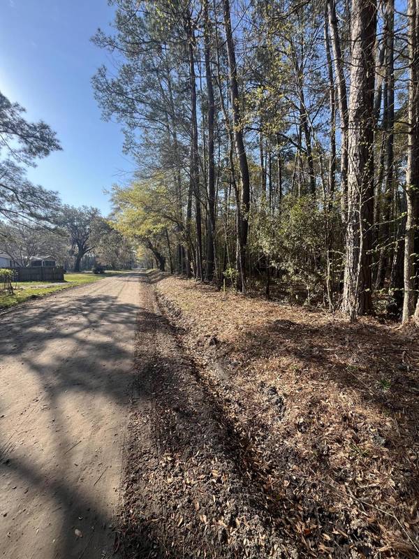 Lot #4a Old Military Road,  Adams Run,  SC 29426