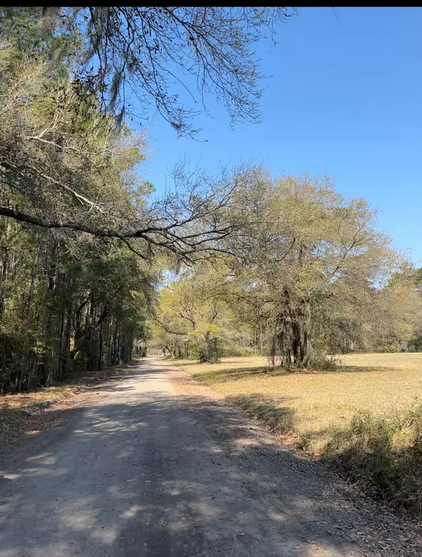 Adams Run, SC 29426,Lot #1 Old Military Rd