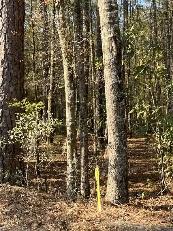Adams Run, SC 29426,Lot #3 Old Military Rd