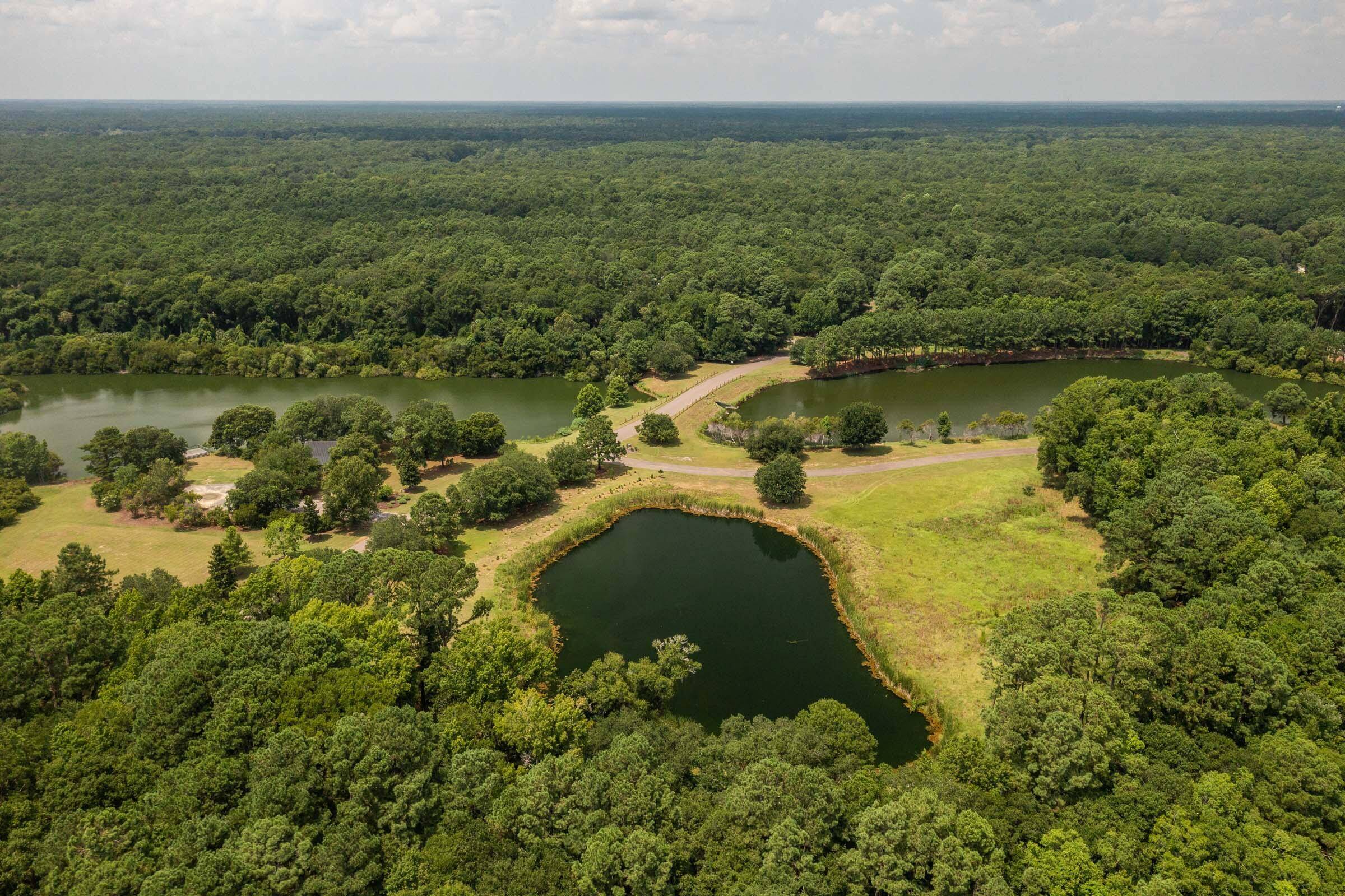 Johns Island, SC 29455,Lot 37-B Nesting Egret Dr