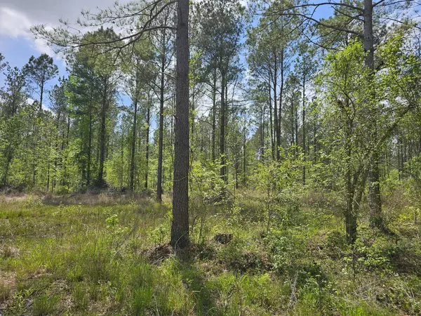 Eutawville, SC 29048,0 Wyman (Lot 8) St