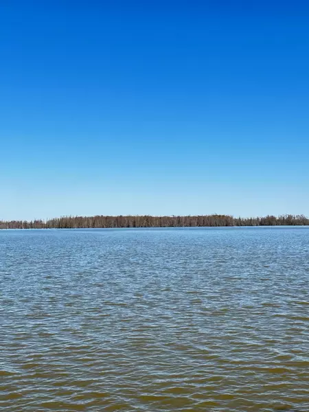 1 Pintail Ln, Elloree, SC 29047