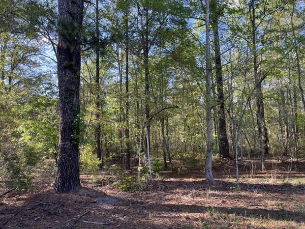 Walterboro, SC 29488,0 Rentz Dr