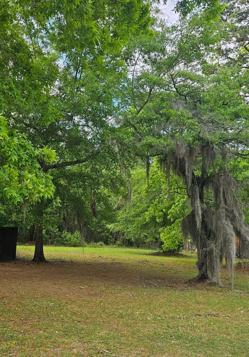 Bonneau, SC 29431,267 Pooshee Plantation Way