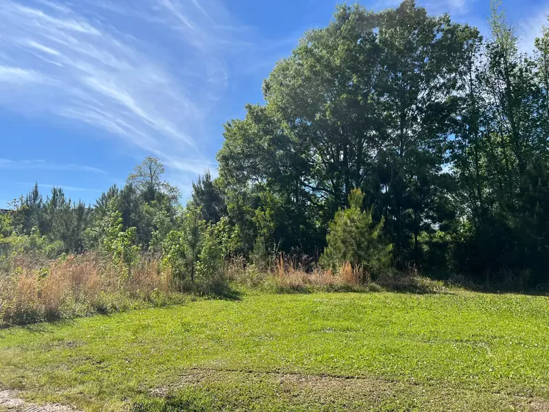 6546 Ethel Post Office Rd, Meggett, SC 29449