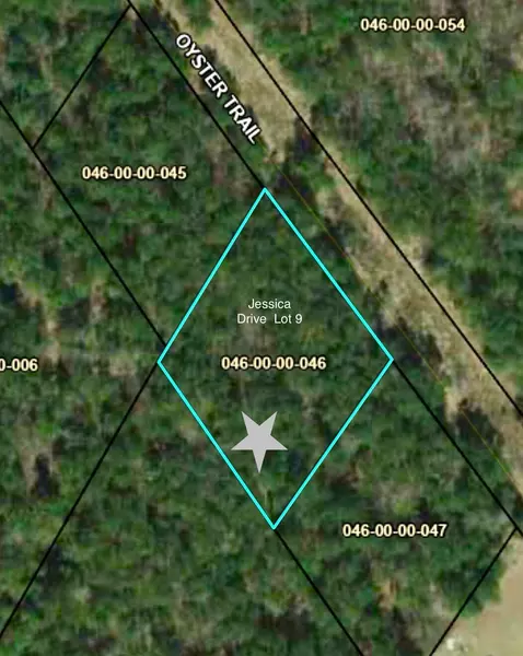 Lot 9 Jessica Drive, Williston, SC 29853