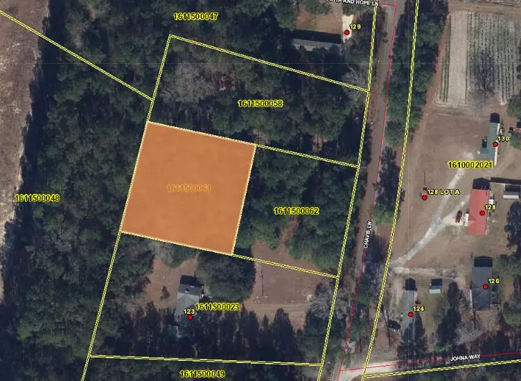 Moncks Corner, SC 29461,00 Chavis Ln