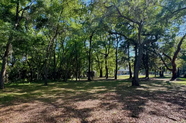 Edisto Island, SC 29438,120 Oakwood Ln