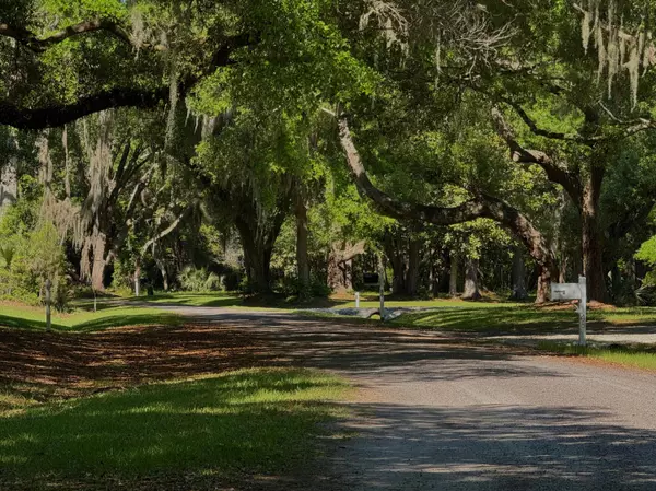 Edisto Island, SC 29438,120 Oakwood Ln