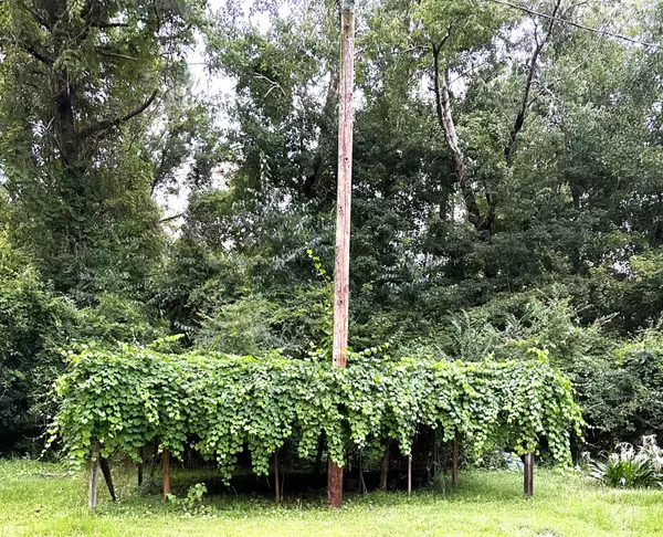 Mcclellanville, SC 29458,749 Society Rd