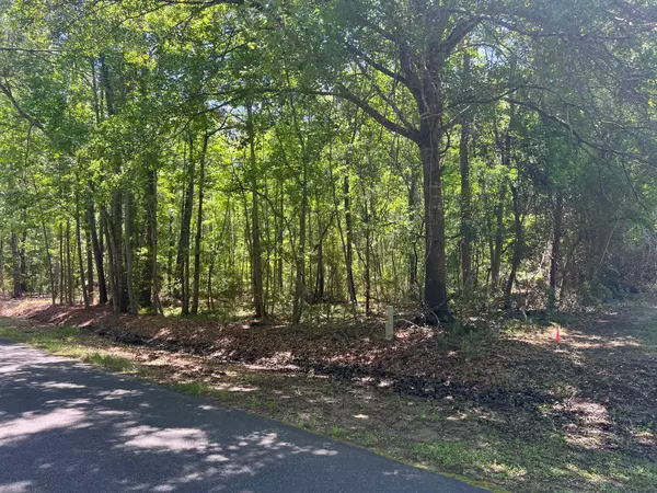 Edisto Island, SC 29438,3 Red House Rd #Lot 3