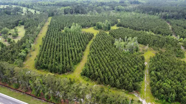 Ridgeville, SC 29472,4 Rudd Road