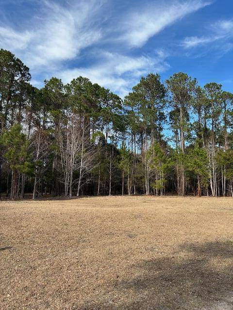 Edisto Island, SC 29438,58 Seaside Ln #Lot 58