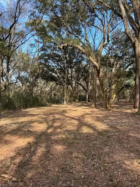 58 Seaside Ln #Lot 58, Edisto Island, SC 29438