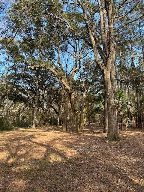 Edisto Island, SC 29438,58 Seaside Ln #Lot 58