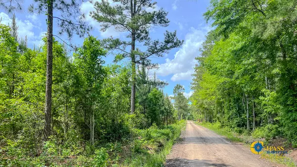 Ruffin, SC 29475,0 Red Root Rd