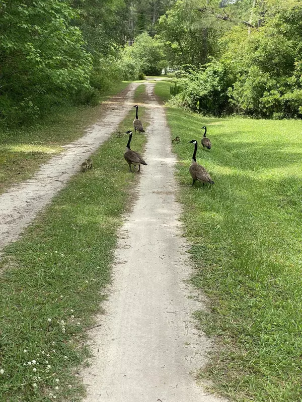 Summerville, SC 29483,0 Cantering Hills Ln