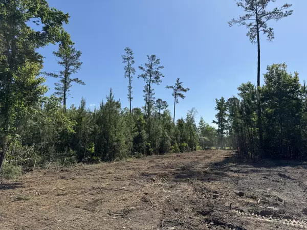 Summerville, SC 29483,0 Old Dairy Rd #Lot 1