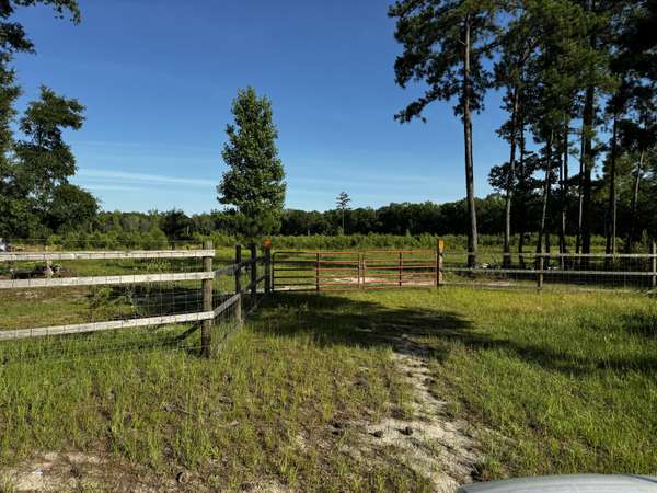 00 Chip Rd, Bowman, SC 29018