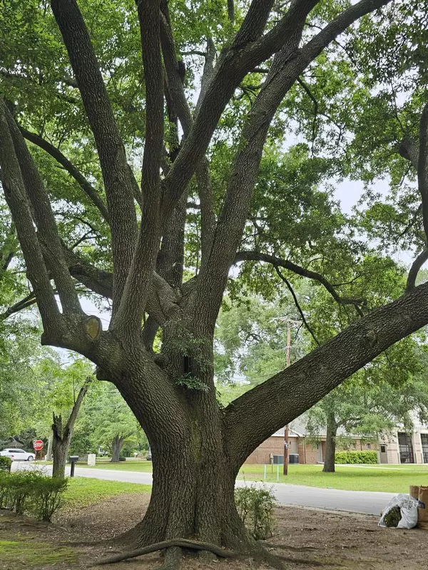 Charleston, SC 29412,1259 Stone Post Rd