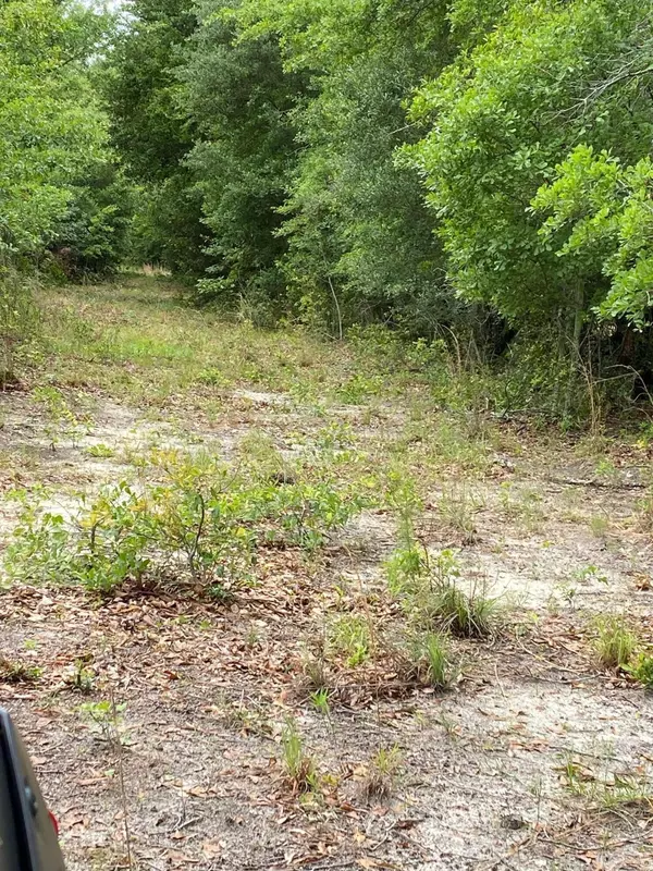 North, SC 29112,0 Salley Rd