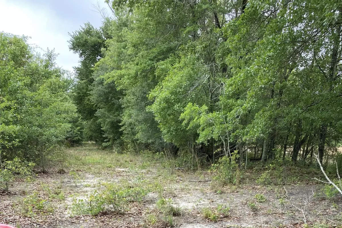 North, SC 29112,0 Salley Rd