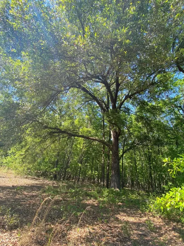 North, SC 29112,0 Salley Rd