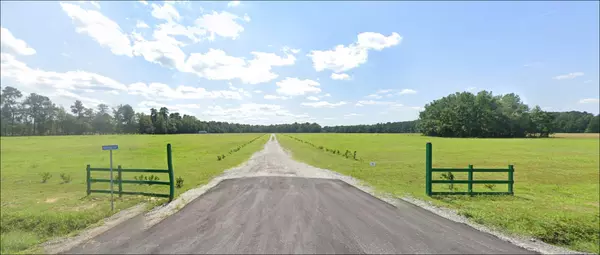 546 High Plains Ct, Ridgeville, SC 29472