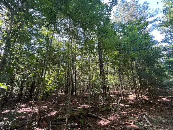 Barnwell, SC 29812,Tbd Hwy 300