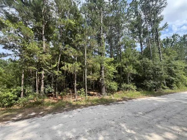 398 Pond Town Rd, Hampton, SC 29924