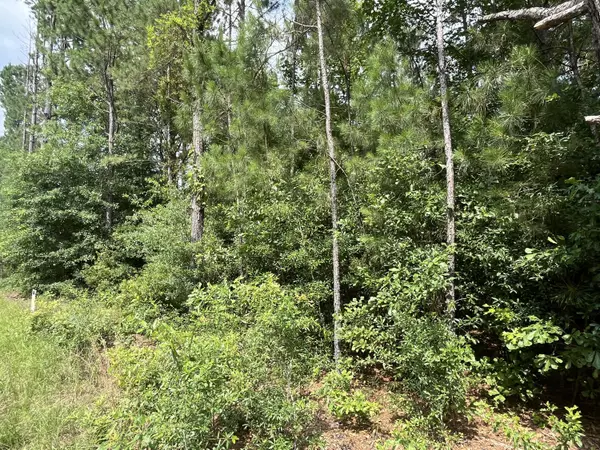 Hampton, SC 29924,398 Pond Town Rd