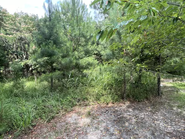 Hampton, SC 29924,398 Pond Town Rd