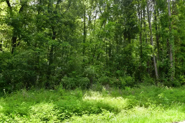 Adams Run, SC 29426,5746 Parkers Ferry Rd