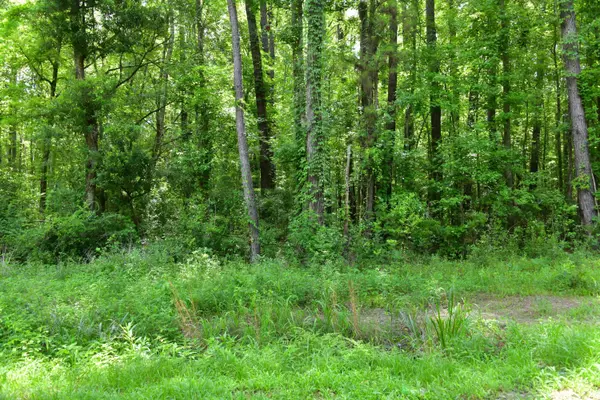 Adams Run, SC 29426,5746 Parkers Ferry Rd