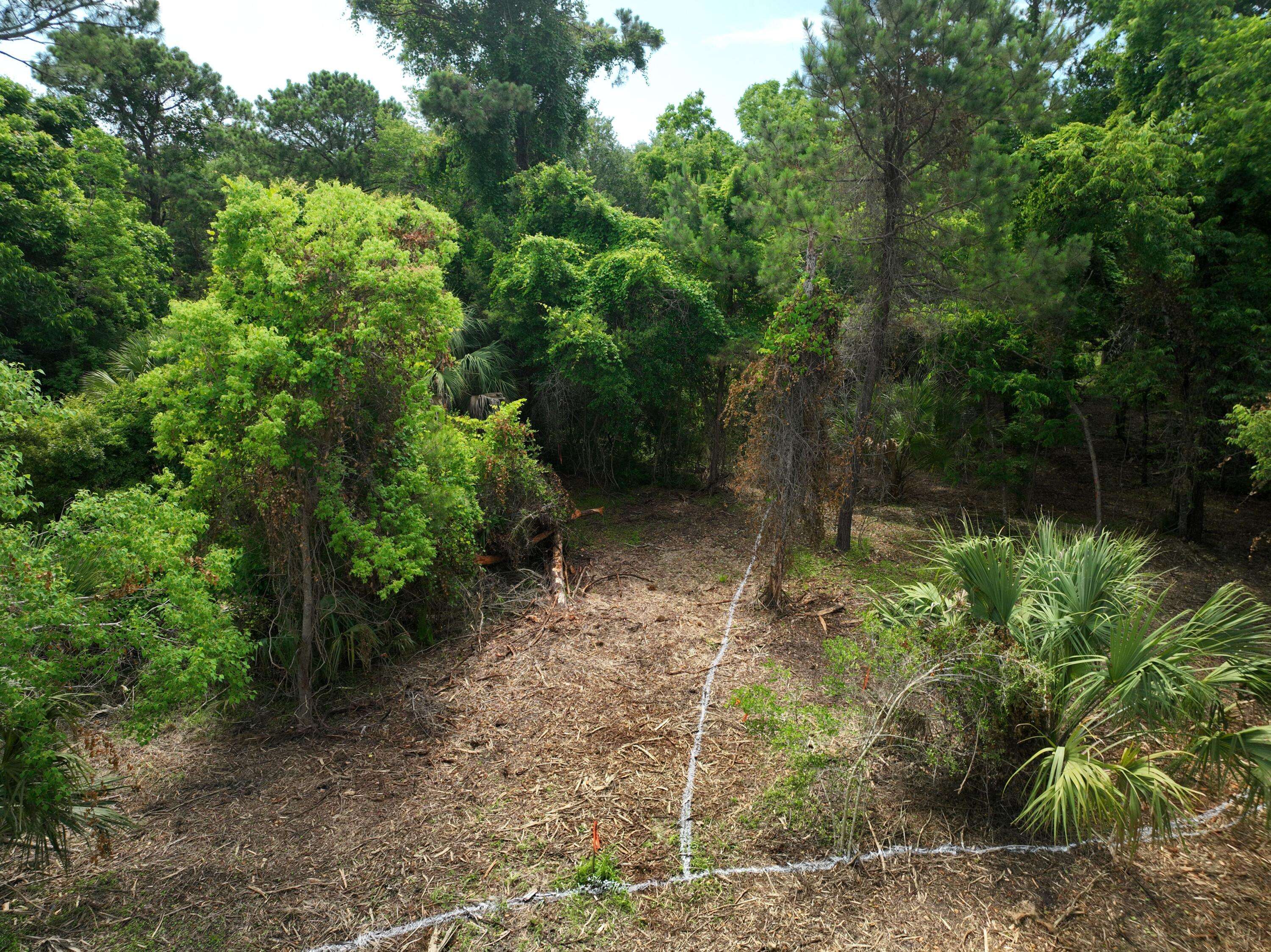 Edisto Island, SC 29438,723 Jan Savage Way #Lot (A)
