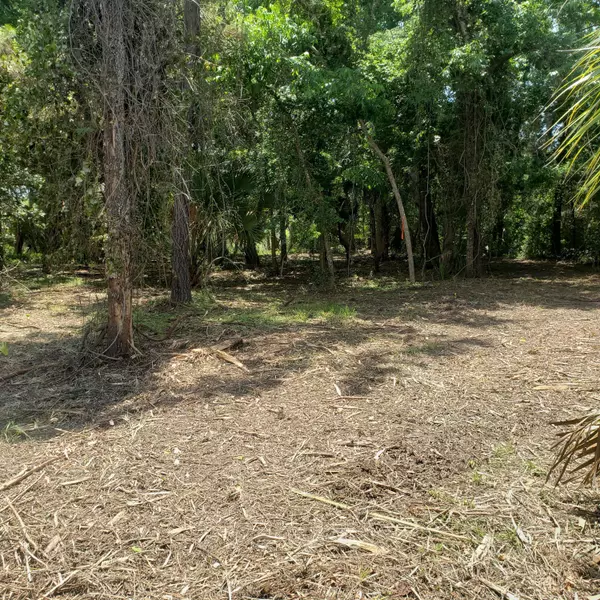 Edisto Island, SC 29438,723 Jan Savage Way #Lot (A)