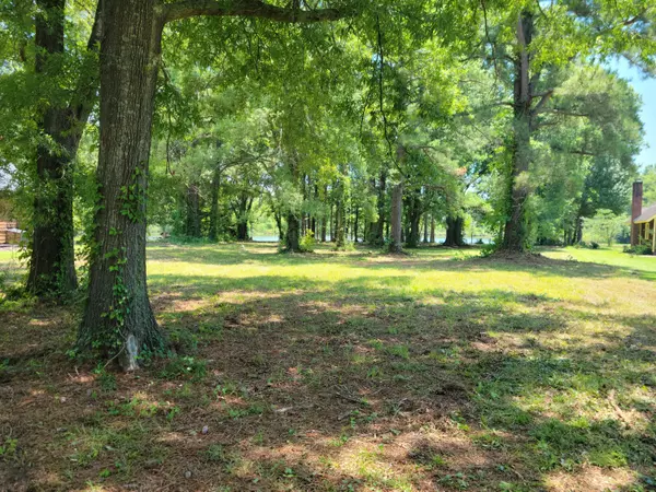 Summerton, SC 29148,1221 Haynesworth Mill Cir