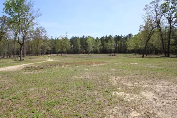 Orangeburg, SC 29118,00 Raymond Road