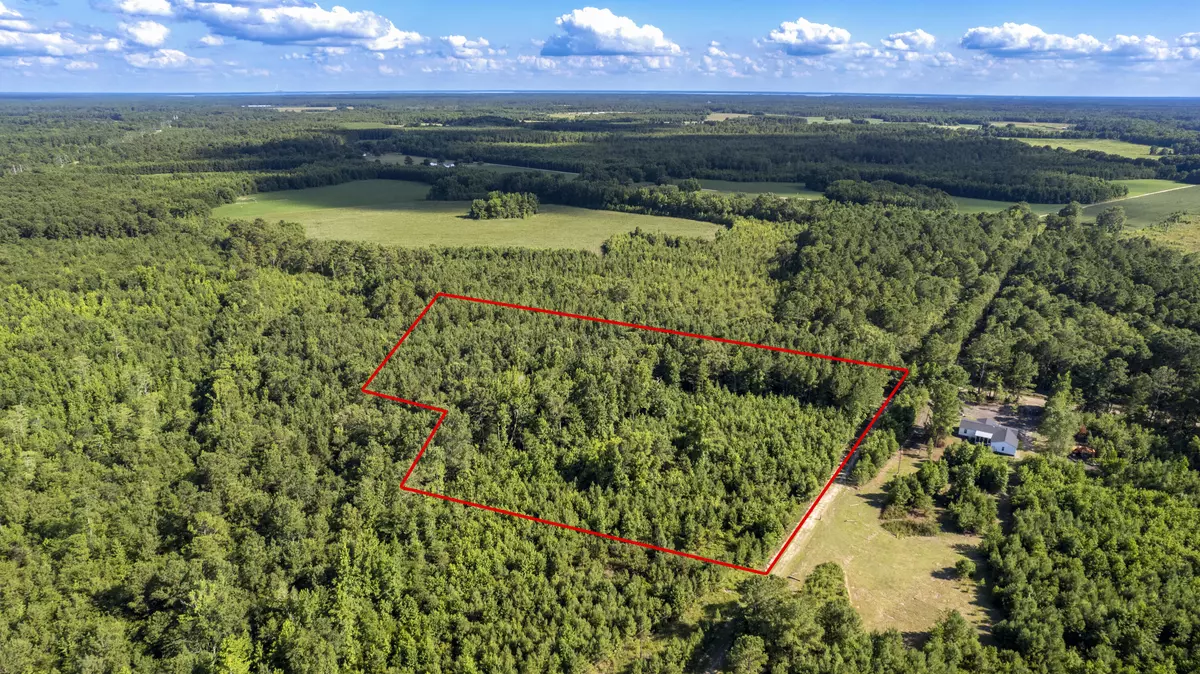 Summerton, SC 29148,Tbd Doughty Rd