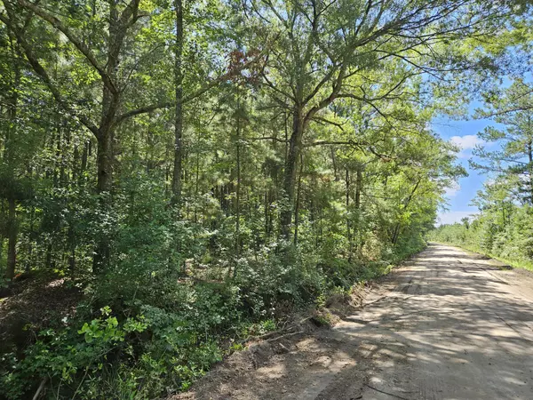 Summerton, SC 29148,Tbd Doughty Rd