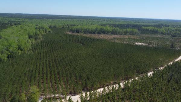 2919 Porter Rd, Cassatt, SC 29032