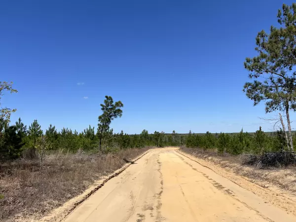 Cassatt, SC 29032,2919 Porter Rd