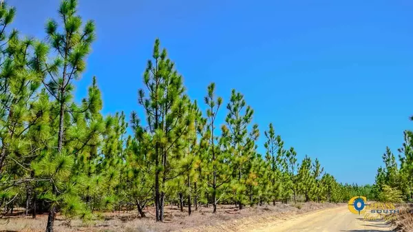 5659 State Rd S-28-31, Bethune, SC 29009