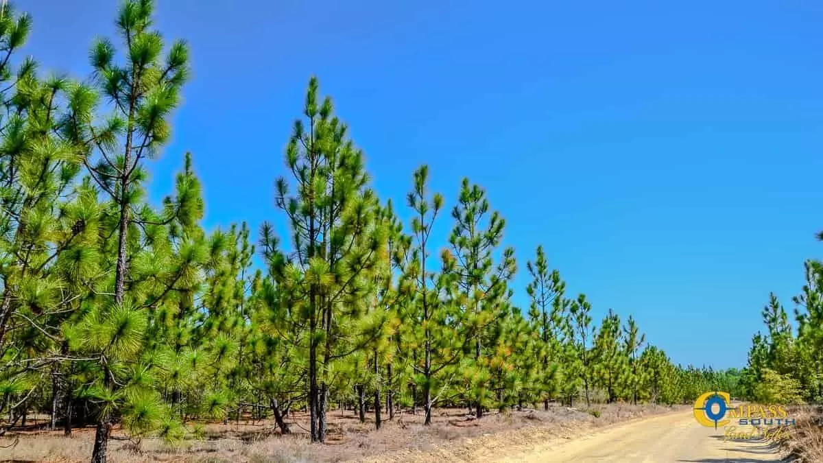 Bethune, SC 29009,5659 State Rd S-28-31