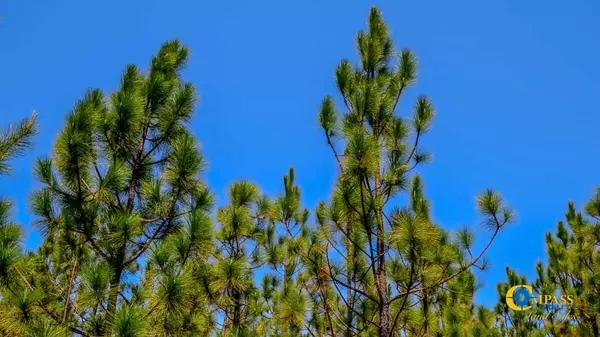 Bethune, SC 29009,5659 State Rd S-28-31