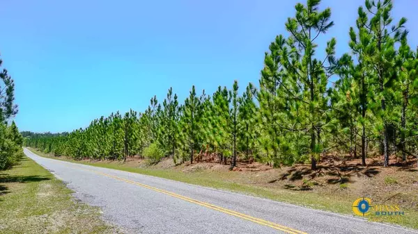 Bethune, SC 29009,5659 Mt Pisgah Rd