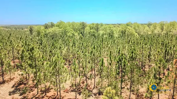 Bethune, SC 29009,5659 Mt Pisgah Rd