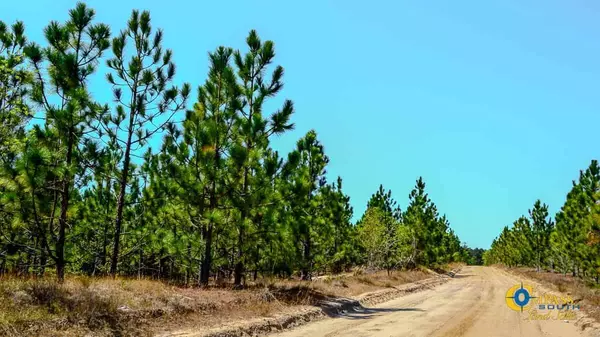 5659 Mt Pisgah Rd, Bethune, SC 29009